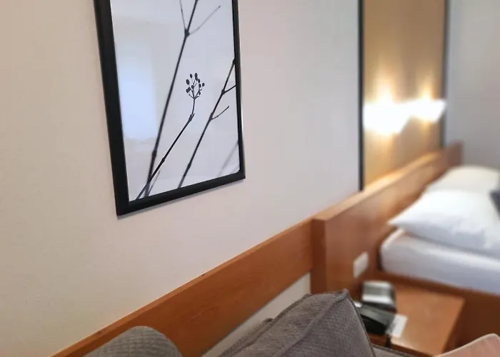 公寓 Appartementhaus Gaby 巴特法兴格